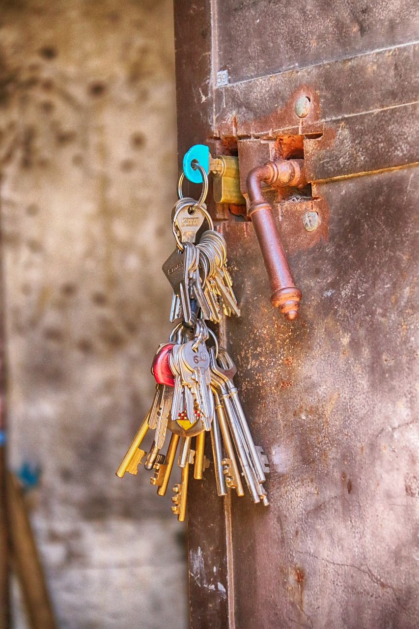 clothing, keys, door, security, metal, open, locksmith, house, rust, former, iron, retro, locks, protection, locksmith, locksmith, locksmith, locksmith, locksmith